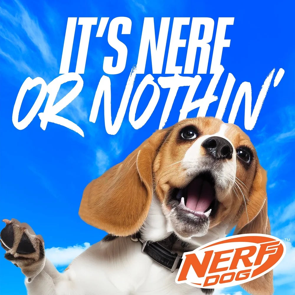 Compact Tennis Ball Launcher Dogs Chewable Waterproof Easy Storage