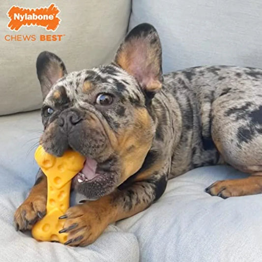 Cheese Bone Durable and Flavorful Designed for Aggressive Chewers Ideal for MediumSized Dogs