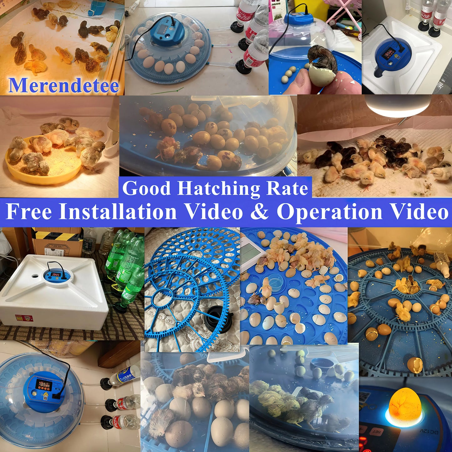 Automatic Incubator Upgrade for hatching eggs