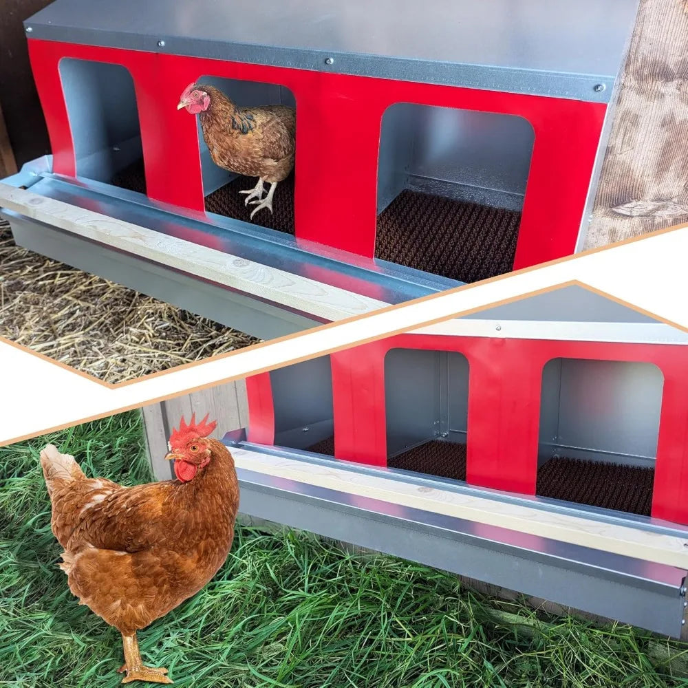 Hen's Choice™ - Roll Out Nest Box for Chickens 3 Compartment 36" | Heavy Duty Galvanized