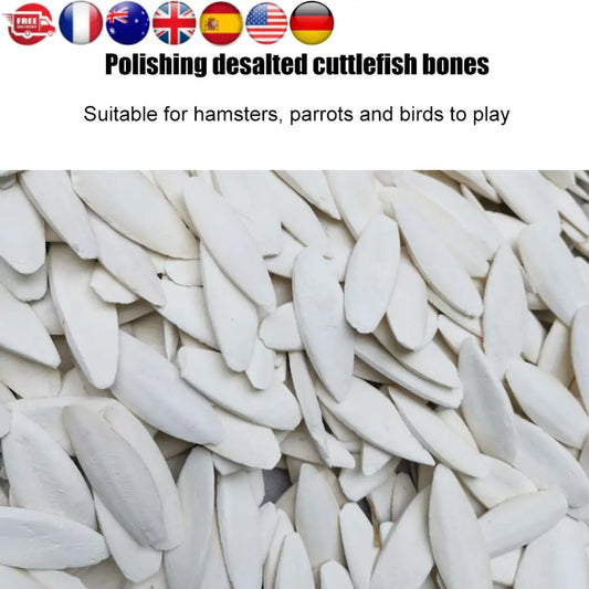 Pet Bird Food Demineralized Chewing Cuttlefish Bone Edible Crawling Pet Molar