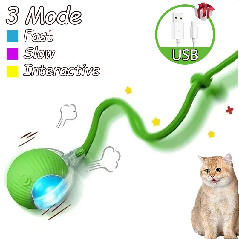 2Pcs Cat Interactive Rolling Ball Faux Tail Rechargeable Smart Pet Electric Toy Cat Training Imitate Mouse