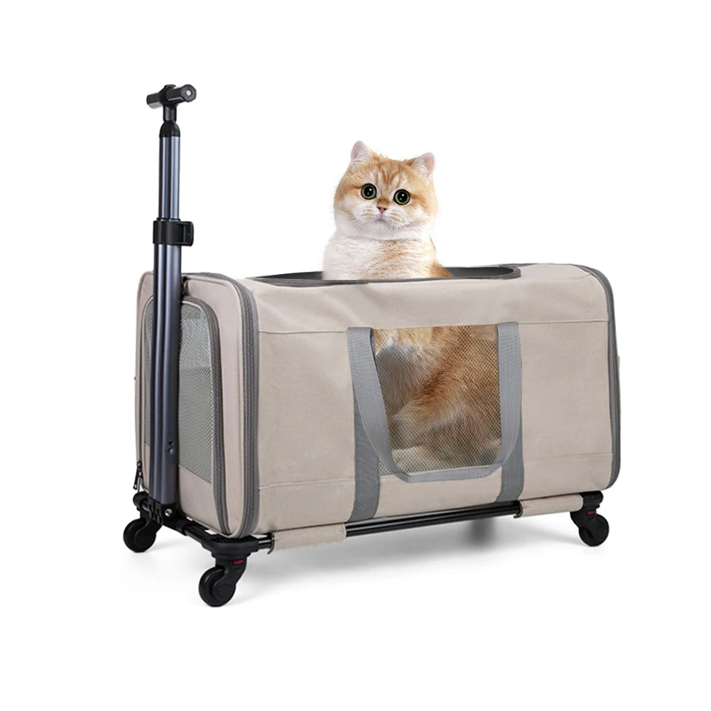 Cat transport bag with wheels & safety belts for travel