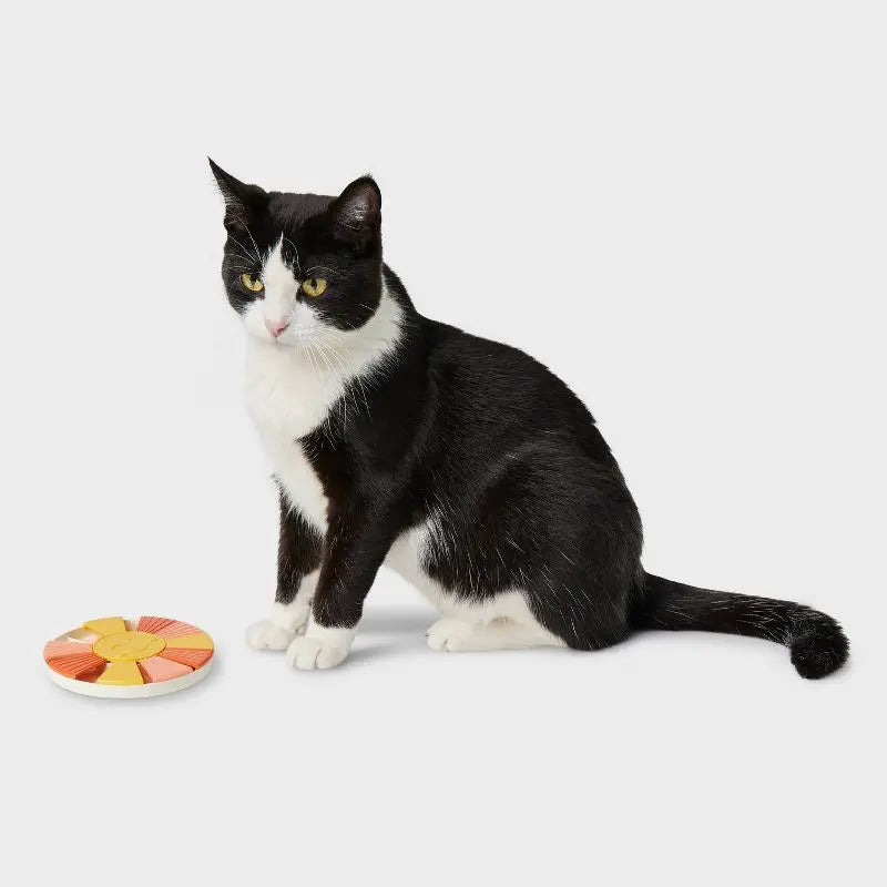 Interactive Cat Treat Puzzle Toy Food Dispenser Mental Stimulation Pet Training