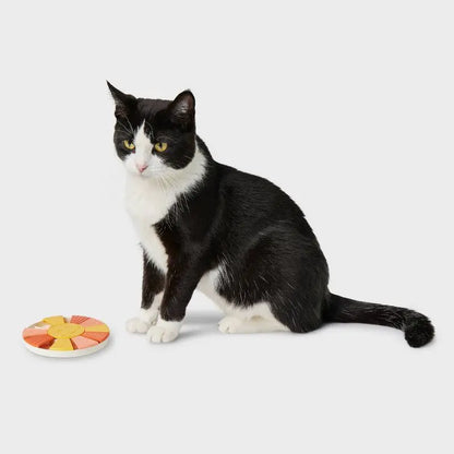 Interactive Cat Treat Puzzle Toy Food Dispenser Mental Stimulation Pet Training