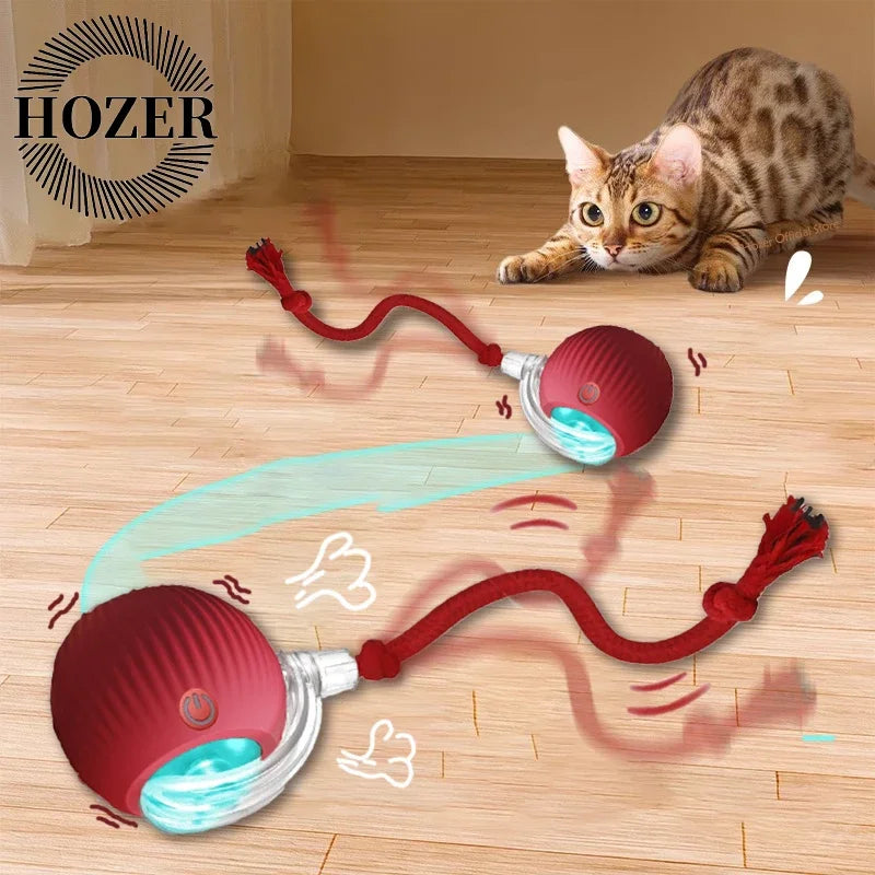 2Pcs Cat Interactive Rolling Ball Faux Tail Rechargeable Smart Pet Electric Toy Cat Training Imitate Mouse