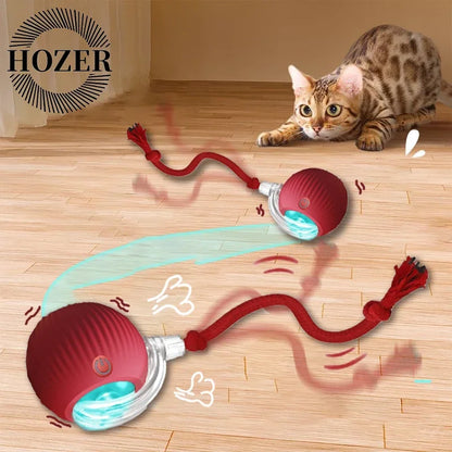 2Pcs Cat Interactive Rolling Ball Faux Tail Rechargeable Smart Pet Electric Toy Cat Training Imitate Mouse