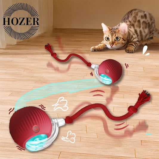 2Pcs Cat Interactive Rolling Ball Faux Tail Rechargeable Smart Pet Electric Toy Cat Training Imitate Mouse