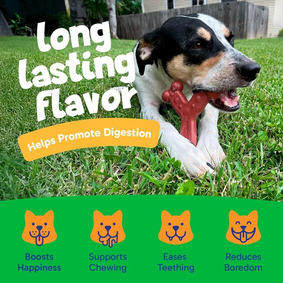 Durable LongLasting Flavorful Chew Toys Ideal for Small Dog Breeds