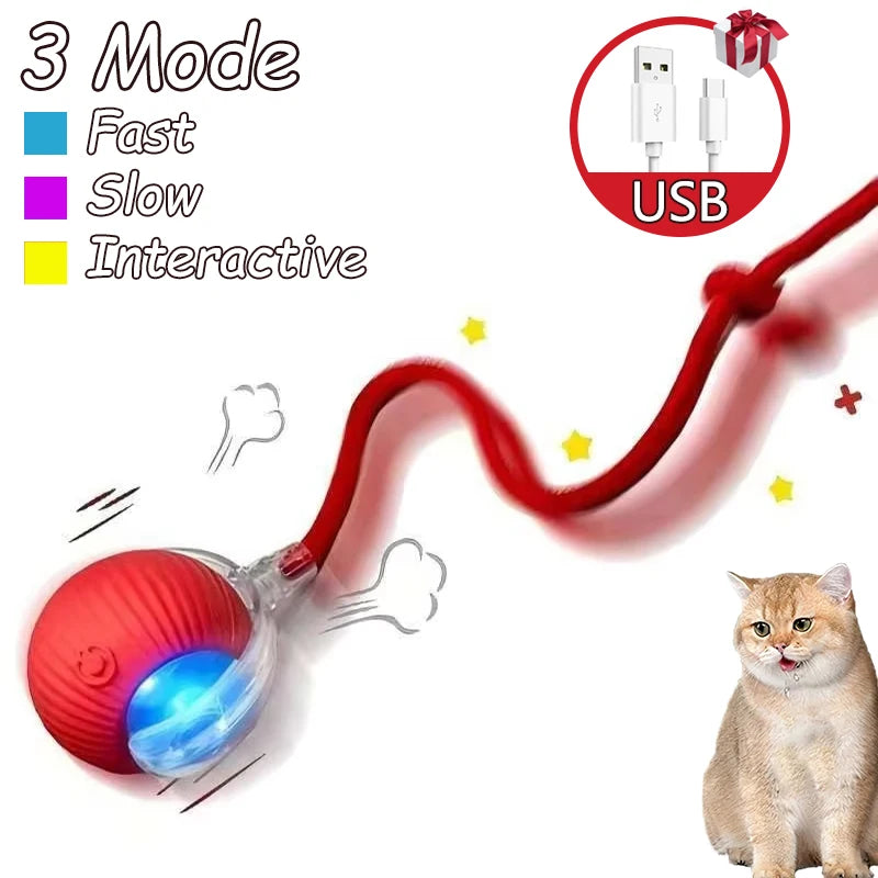 2Pcs Cat Interactive Rolling Ball Faux Tail Rechargeable Smart Pet Electric Toy Cat Training Imitate Mouse