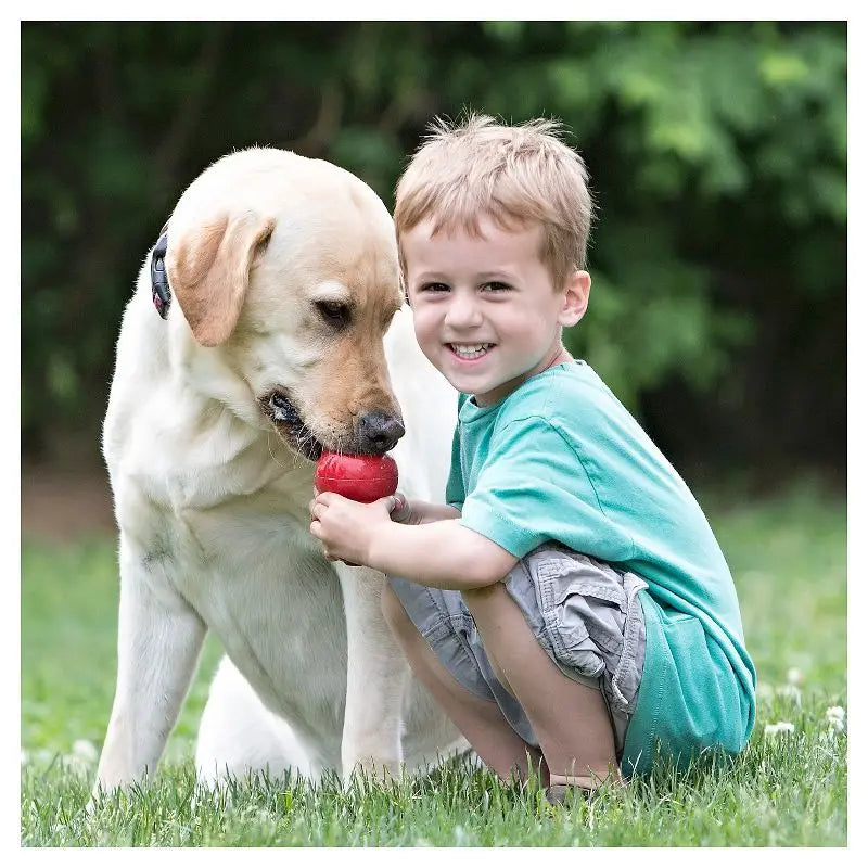 Classic Chew Dog Toy Red Refillable Rubber Durable Fetch Toy for Average Chewers Vet Recommended Mental Stimulation USA Made