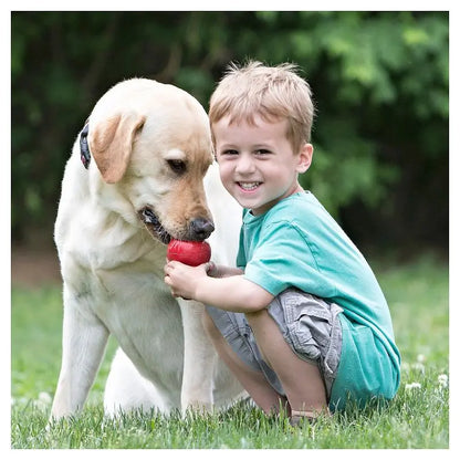 Classic Chew Dog Toy Red Refillable Rubber Durable Fetch Toy for Average Chewers Vet Recommended Mental Stimulation USA Made