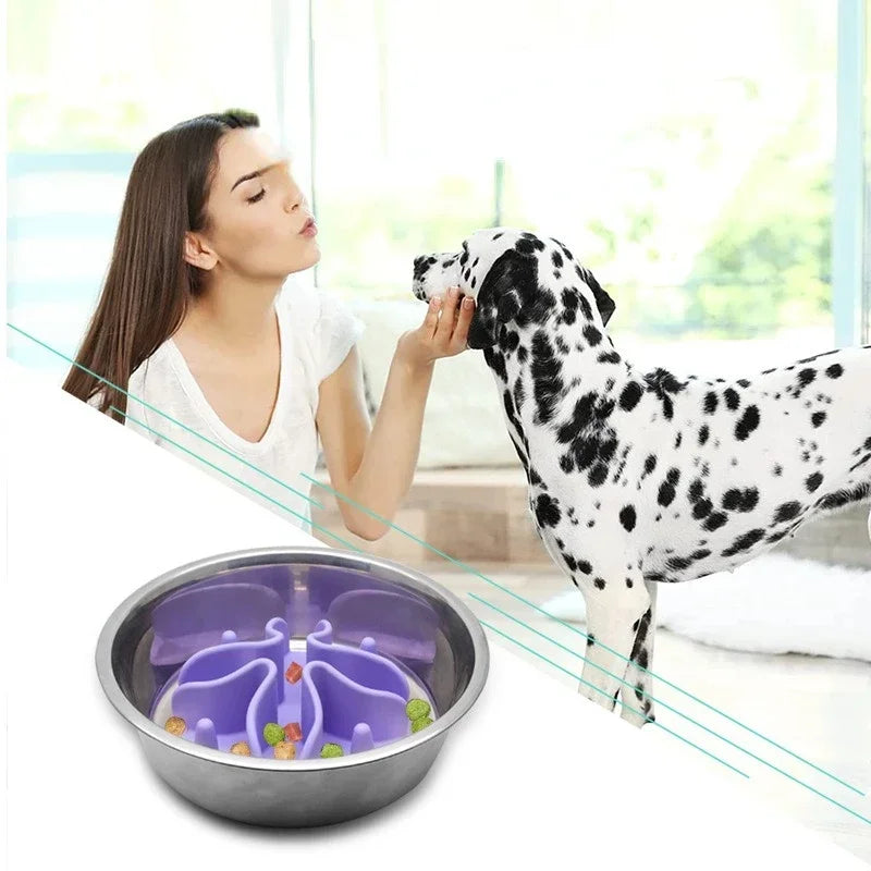 Strong Silicone Products Insert Cup Medium Large Bowl Slow Pet Spiral Dogs Suction Feeder