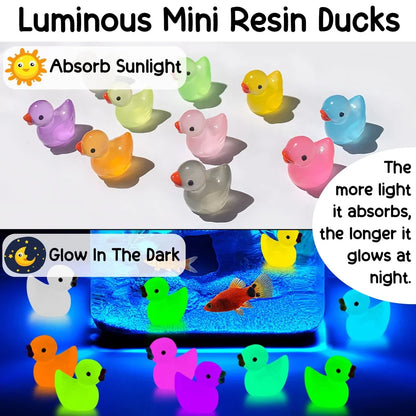1000Pcs Luminous Mini Resin Duck Figurines Landscape Aquarium Cute Tiny Ornaments