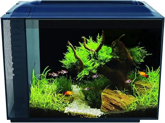 Fluval Spec V 16-Gallon Aquarium Kit