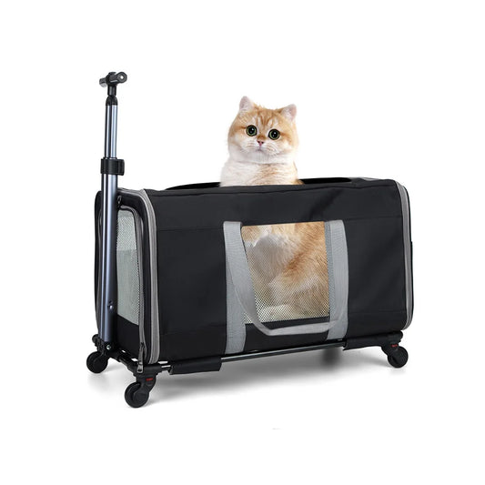 Cat transport bag with wheels & safety belts for travel