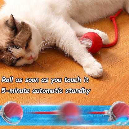2Pcs Cat Interactive Rolling Ball Faux Tail Rechargeable Smart Pet Electric Toy Cat Training Imitate Mouse