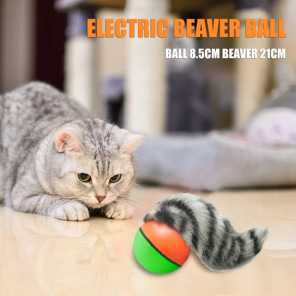 Electric Beaver Weasel Rolling Ball Pet Interactive Chasing Agility Toys Supplies