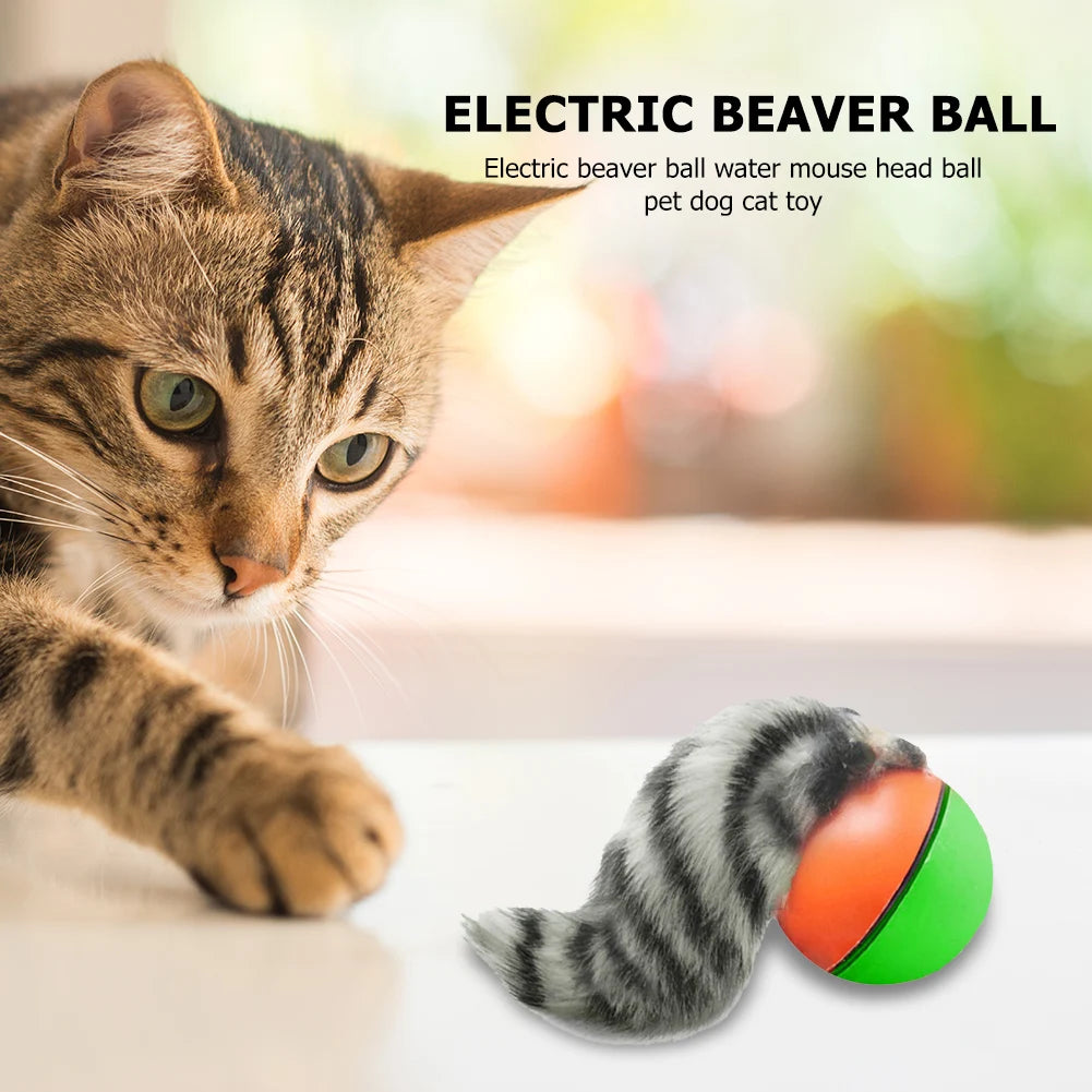 Electric Beaver Weasel Rolling Ball Pet Interactive Chasing Agility Toys Supplies