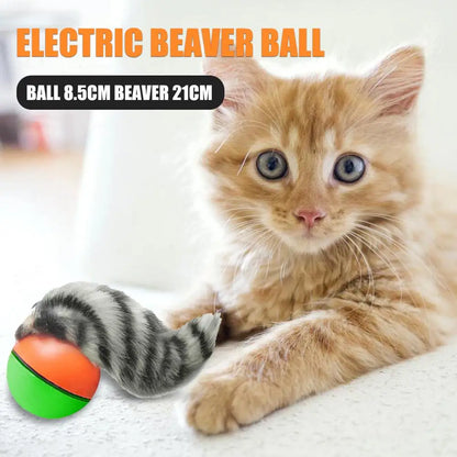 Electric Beaver Weasel Rolling Ball Pet Interactive Chasing Agility Toys Supplies