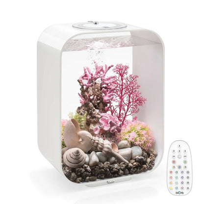 Acrylic Aquarium Desktop