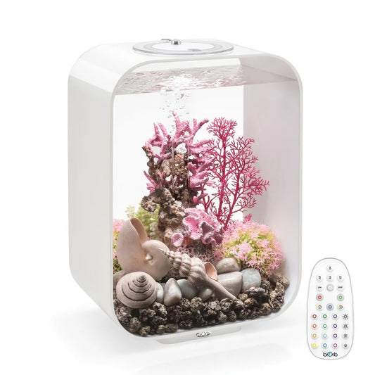 Acrylic Aquarium Desktop