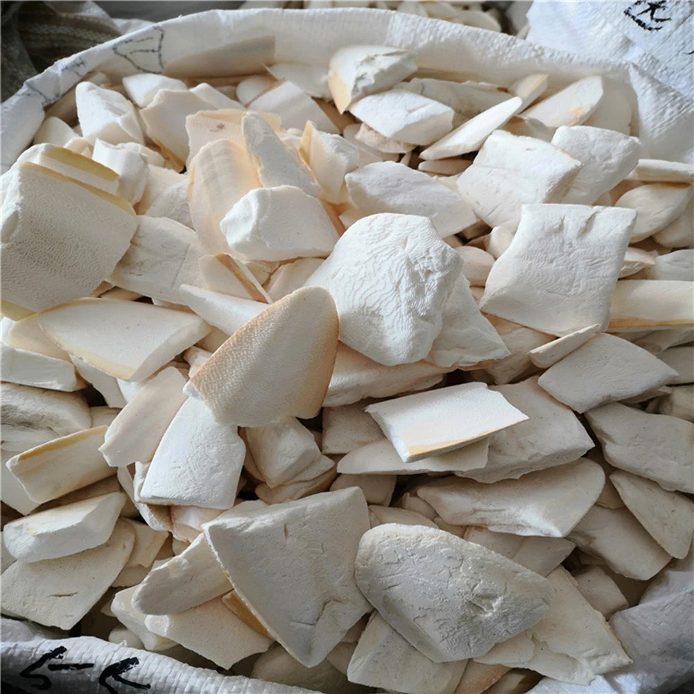 Pet Bird Food Demineralized Chewing Cuttlefish Bone Edible Crawling Pet Molar