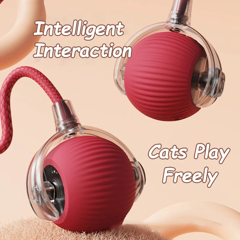 2Pcs Cat Interactive Rolling Ball Faux Tail Rechargeable Smart Pet Electric Toy Cat Training Imitate Mouse
