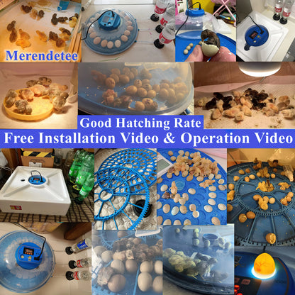 Automatic Incubator Upgrade for hatching eggs