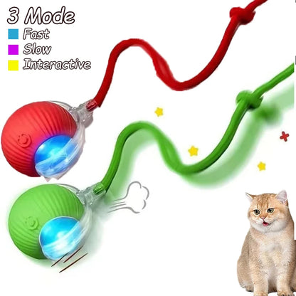2Pcs Cat Interactive Rolling Ball Faux Tail Rechargeable Smart Pet Electric Toy Cat Training Imitate Mouse