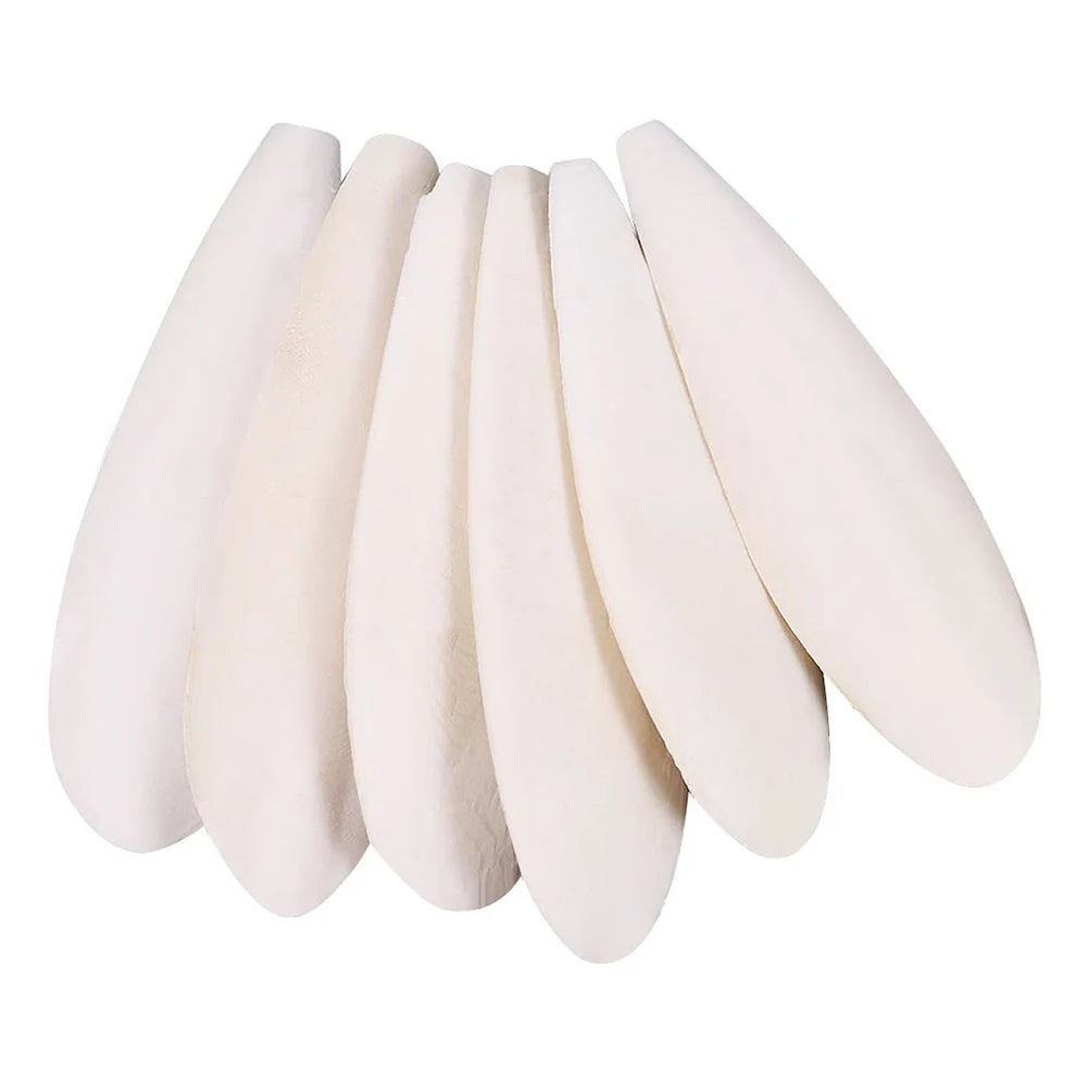 Pet Bird Food Demineralized Chewing Cuttlefish Bone Edible Crawling Pet Molar