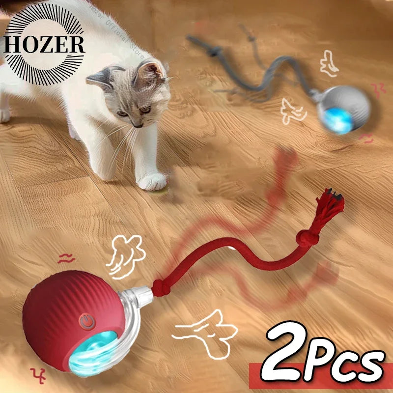 2Pcs Cat Interactive Rolling Ball Faux Tail Rechargeable Smart Pet Electric Toy Cat Training Imitate Mouse