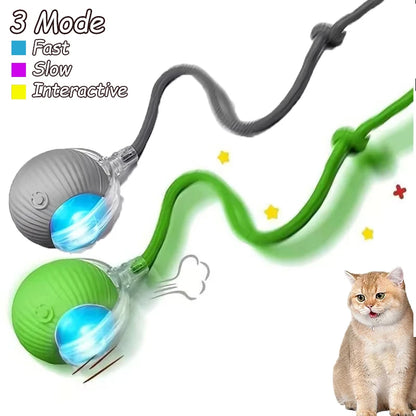 2Pcs Cat Interactive Rolling Ball Faux Tail Rechargeable Smart Pet Electric Toy Cat Training Imitate Mouse