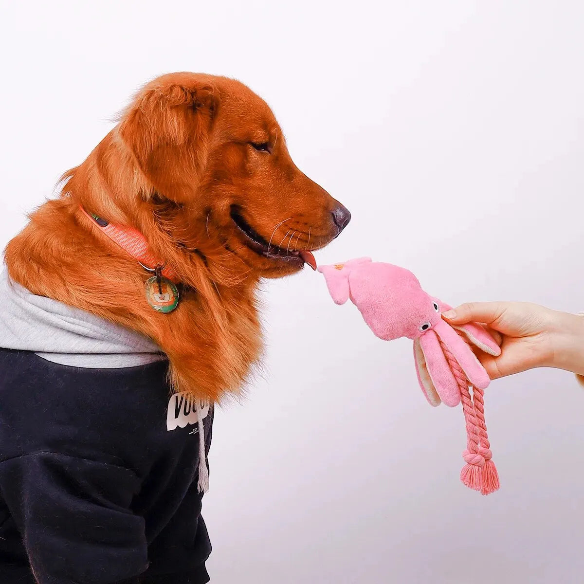 Pet Octopus Plush Rope Toy Is Bite-resistant, Fun and Interactive