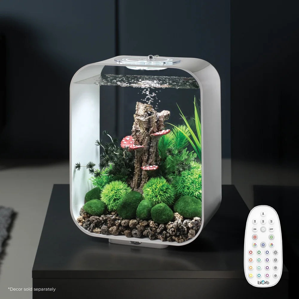 Acrylic Aquarium Desktop