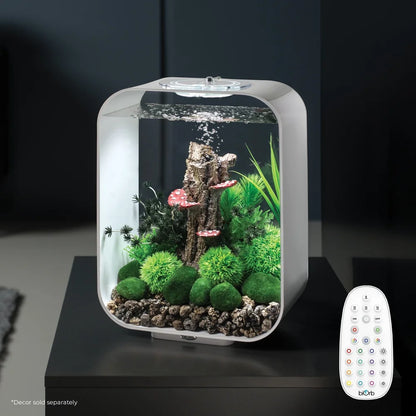 Acrylic Aquarium Desktop