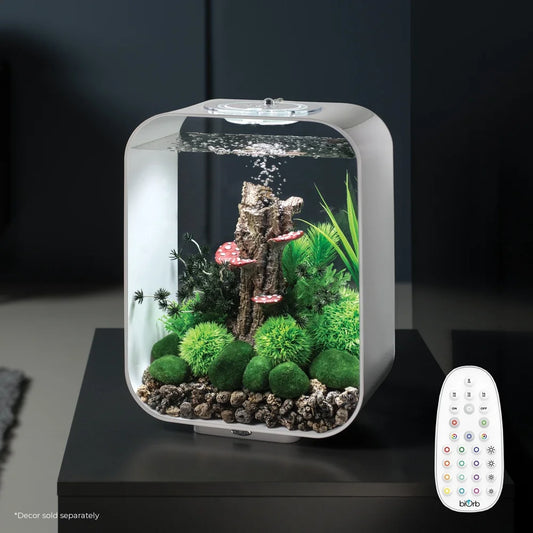 Acrylic Aquarium Desktop