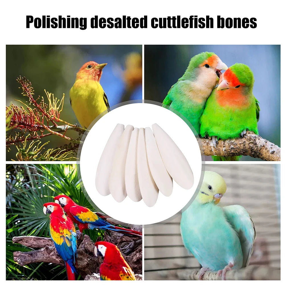 Pet Bird Food Demineralized Chewing Cuttlefish Bone Edible Crawling Pet Molar