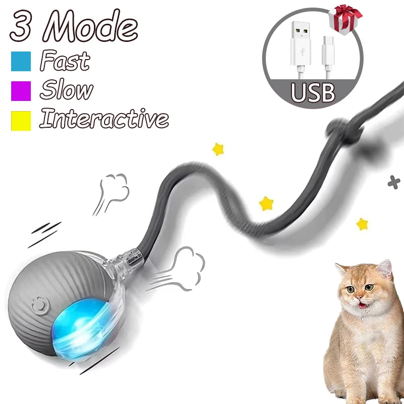 2Pcs Cat Interactive Rolling Ball Faux Tail Rechargeable Smart Pet Electric Toy Cat Training Imitate Mouse