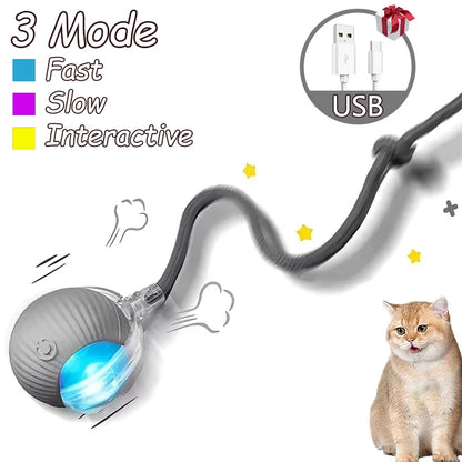 2Pcs Cat Interactive Rolling Ball Faux Tail Rechargeable Smart Pet Electric Toy Cat Training Imitate Mouse