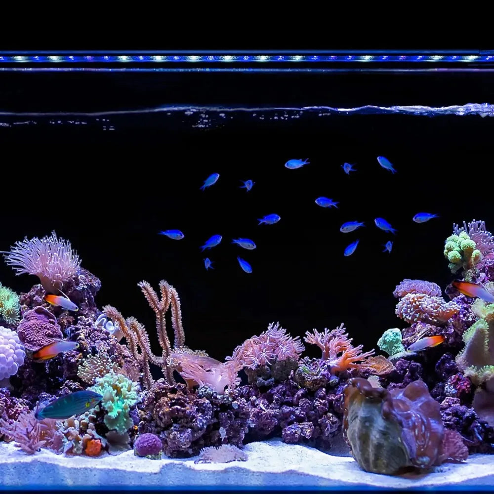 LED Saltwater Reef Marine Aquarium Light  Wave Pump Control