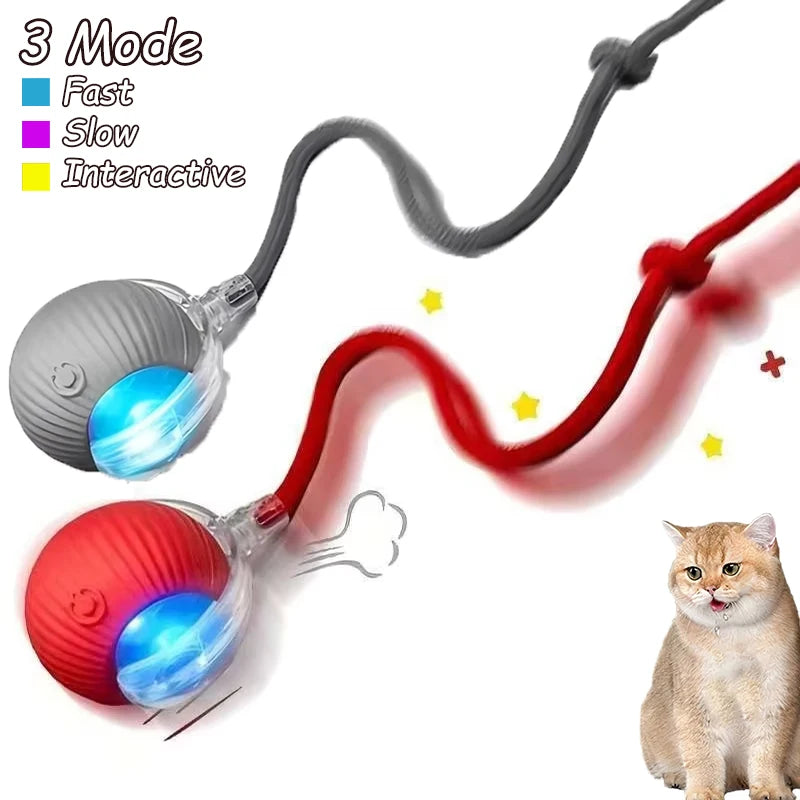 2Pcs Cat Interactive Rolling Ball Faux Tail Rechargeable Smart Pet Electric Toy Cat Training Imitate Mouse