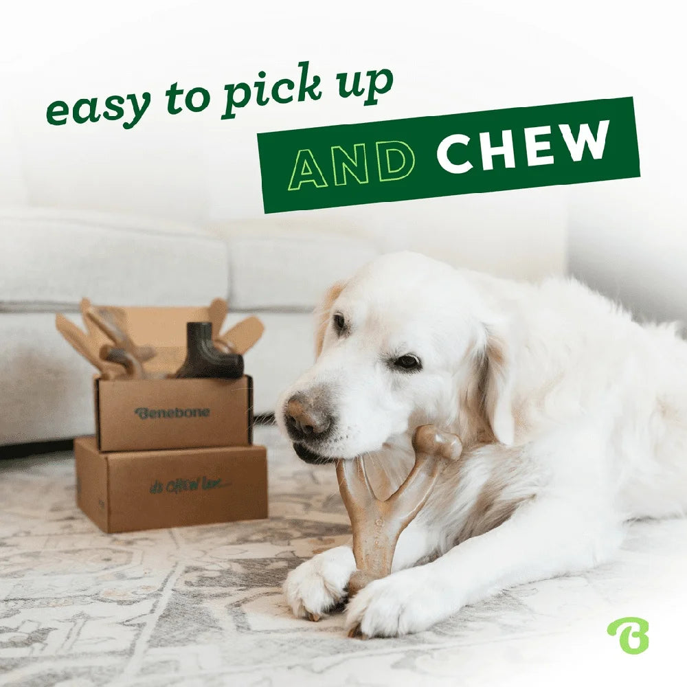 Durable Dog Chew Toys 4-Pack Aggressive Chewers Under 60lbs Real Bacon Flavor Tough Chewable Portable Waterproof